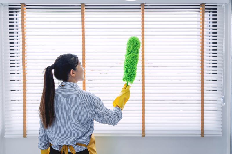 Blinds And Shades Cleaning For Allergy-Friendly Homes