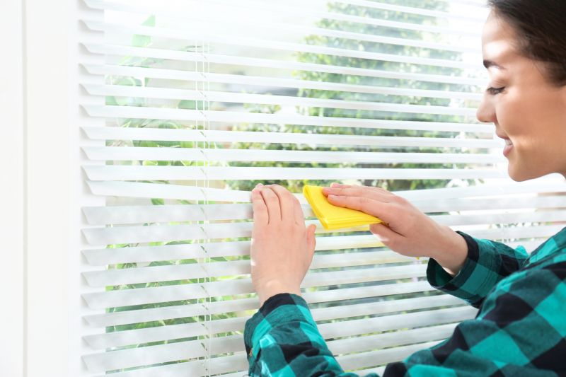 Roman Shade Cleaning in Providence, RI