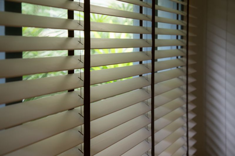 Venetian Blinds Cleaning