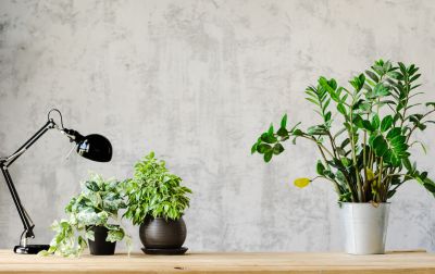 Wallpaper Replacement in Alpharetta, GA